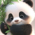 peter_lee2 profile picture