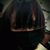 member phoebe_mad