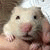 phuong_tru profile picture