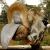 picaflor_tambor profile picture