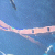 member pl_oy