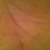 quomick profile picture