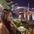 quynh_dang profile picture