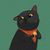 quynh_nhu_ profile picture