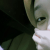 RATIHPRATIWI46 profile picture