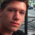 Raphaelw profile picture