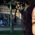 member Roslava