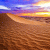radhia39 profile picture