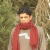 member radiali