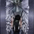 rafi_ramir profile picture