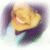 member raintearz