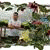 member raju_taman