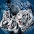 member ramos_ramo