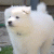 reaven_691 profile picture