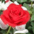 member ritaforlove
