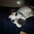 robert_boy profile picture