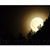 roberto_ca2 profile picture