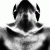 roki profile picture
