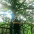 ronny_cast profile picture