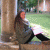SOCLAIRE16 profile picture