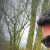 member Sagoodi