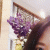 member Sawi