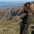 SbhFaustina profile picture
