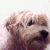 Sid4401 profile picture