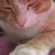 Sigita profile picture
