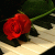 Sigui profile picture