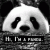 SoniaThonia profile picture
