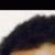 member Srikanthan