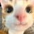 Steesy profile picture