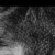 Svetlyachek profile picture