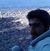 member saeed_huss