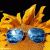 sage0110 profile picture