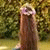 member saja_m_ham