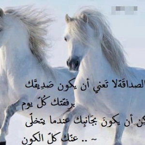 salam790