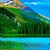 member saleh_moha