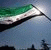 member salman_ala