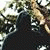 member samhs76842