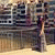 samia_hnk profile picture
