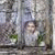 member samira_sof
