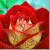 sanasoso profile picture