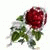 member sara_bader
