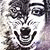 member sara_boukh