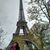 member sarai_rend