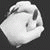 member sarvinas_a