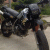 sasavi_mali profile picture
