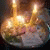 member sayed_afif